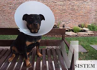 fx web portfolio de clientes