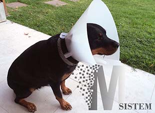 fx web portfolio de clientes