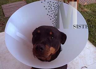 fx web portfolio de clientes