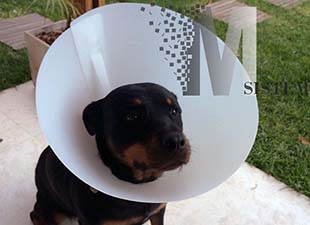 fx web portfolio de clientes