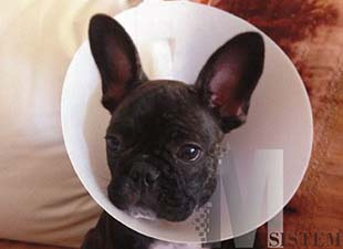 fx web portfolio de clientes